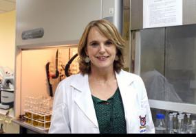 Investigación busca disminuir impacto ambiental de los envases plásticos