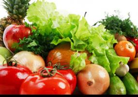 Estudian beneficios de fertilizantes naturales en cultivo de hortalizas