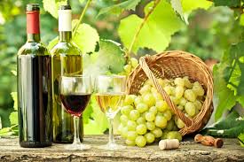Descubrimiento de científica chilena ahorraría millones a la industria del vino